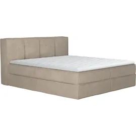 LeGer Home by Lena Gercke Boxspringbett "Addyson", lila (pearl), B:170cm L:230cm, 100% Polyester, LEGER HOME BY LENA GERCKE, Komplettbetten, Boxspringbett, Boxspringbett inkl. Topper, 2 Matratzen