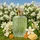 Volare Kenzie Classic Pistachio Eau de Parfum 100 ml