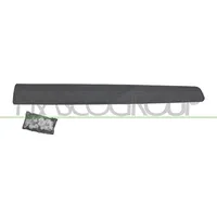PRASCO Zier-/Schutzleiste, Tür CI9181404