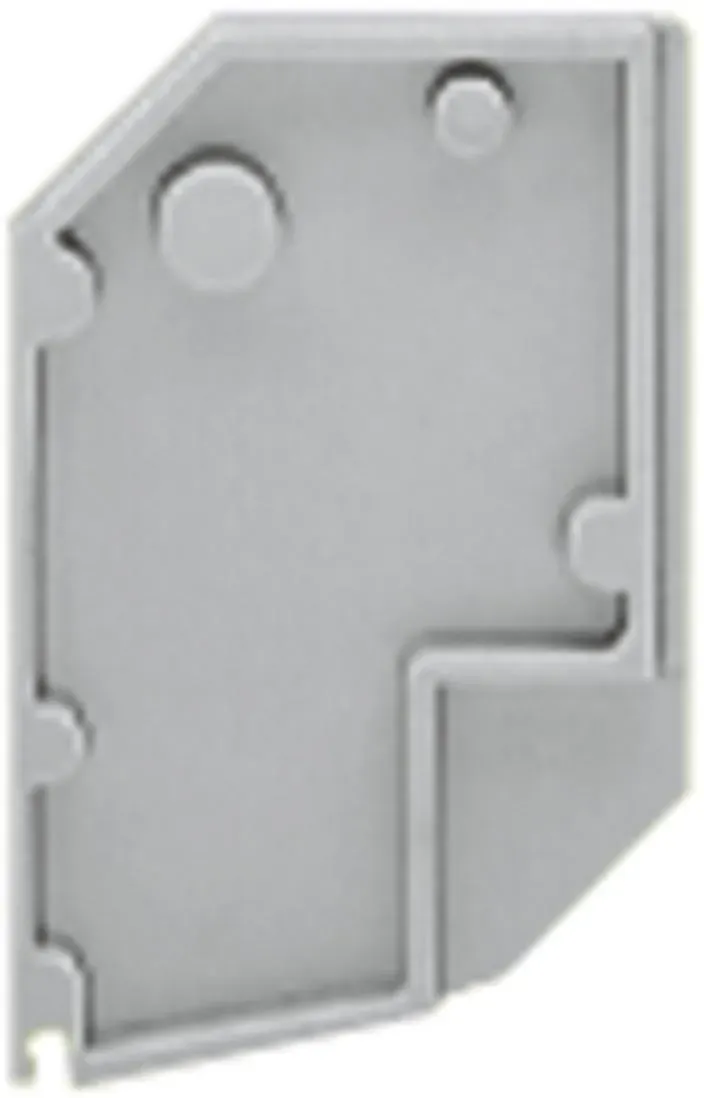 WAGO GmbH & Co. KG Abschlussplatte grau 711-111