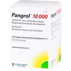 BERLIN-CHEMIE Pangrol 10000