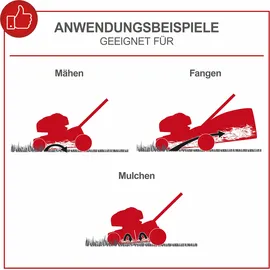 SCHEPPACH MS225-56 6 PS