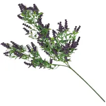 Homescapes Dekozweig, Wilder Lavendel, 69 cm,