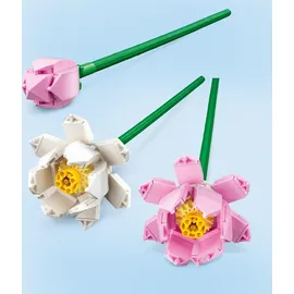 LEGO Botanicals Lotusblumen 40647