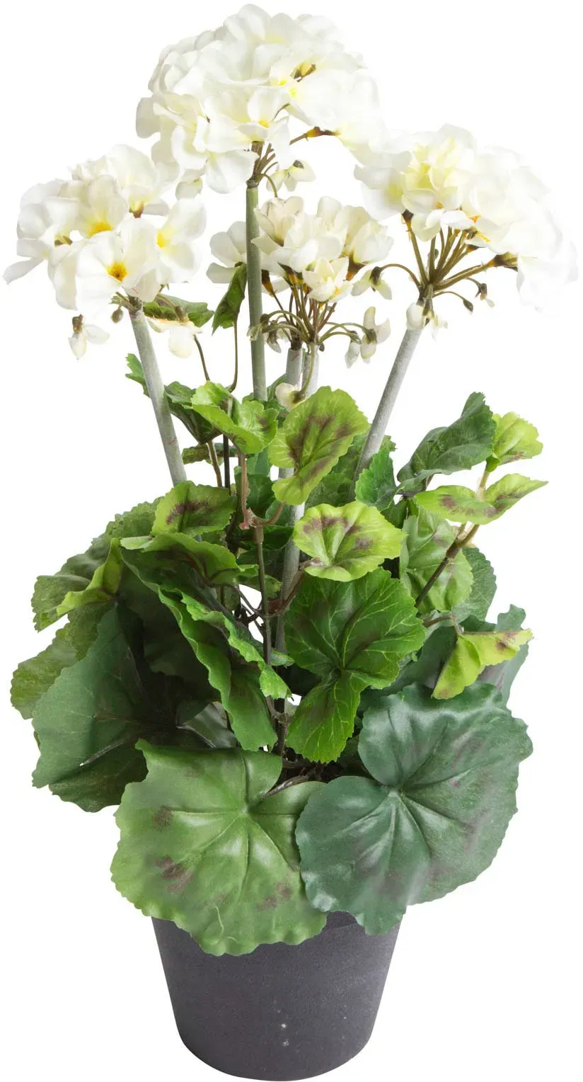 Künstliche Zimmerpflanze BOTANIC-HAUS 