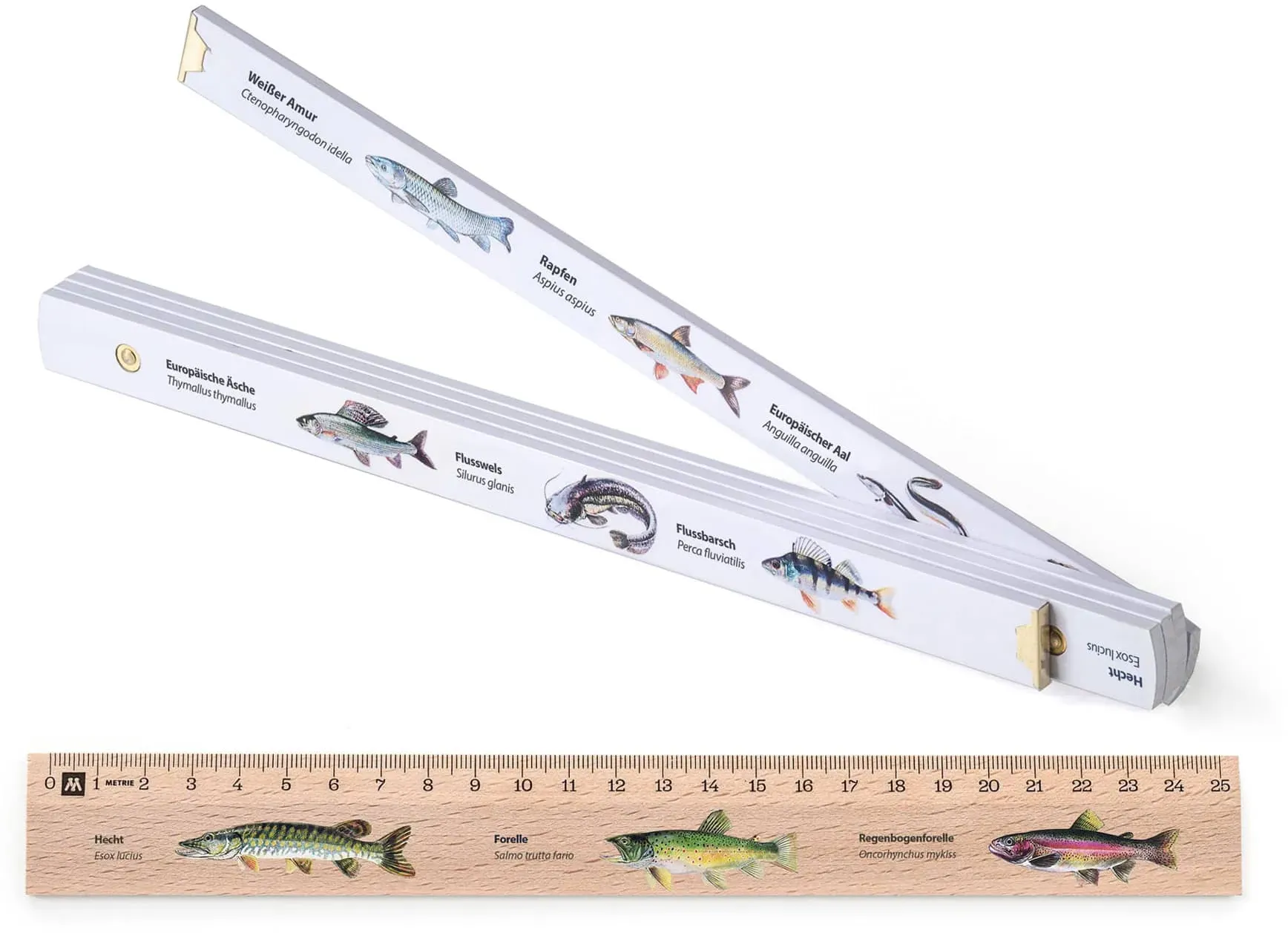 Geschenkset für Angler: 1m Zollstock & 25 cm Holzlineal, bedruckt