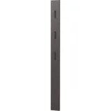 Germania Garderobenpaneel 3728-547, Graphit, mit drei ausklappbaren Kleiderhaken aus Metall, 15 x 170 cm