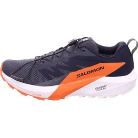Salomon Sense Ride 5 GTX für Herren Trailrunningschuhe, grau, 47 EU -