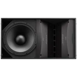 Bose ArenaMatch AM20/60 Outdoor Lautsprecher