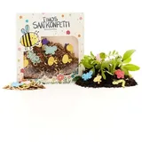 Die Stadtgärtner Timos Saatkonfetti