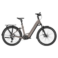 Kalkhoff Entice 7.B Advance+ ABS Bosch 750Wh Elektro Trekking Bike Moonstonegrey matt | 27.5" Herren Diamant L/53cm