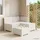 vidaXL 3-Sitzer Garten Sofa 0 x 0 x 0 cm Weiß