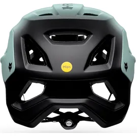 Fox Speedframe Pro L grau 2021