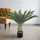 Decovego Künstliche Palme groß Kunstpalme Modell 9, 80 cm hoch Decovego - Grün,
