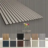 HEXIM Akustikpaneel AP02 grau 2 St. 278 x 60 cm