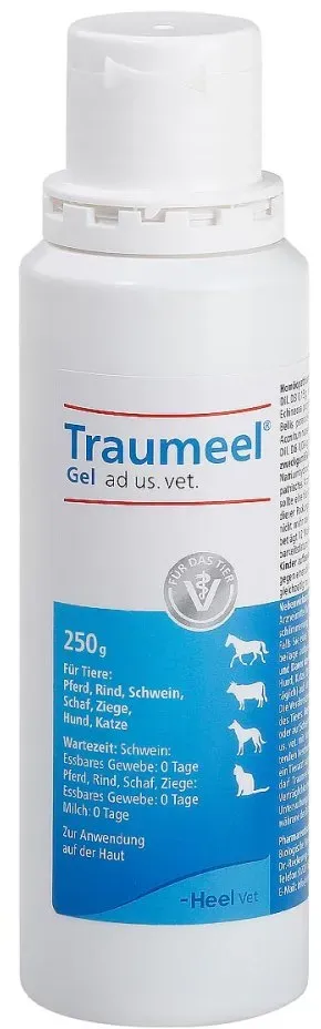 Traumeel Gel ad us. vet. Gel