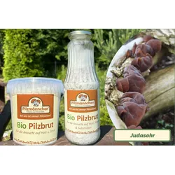 Neu! Judasohr-Pilzbrut Bio 1 Liter