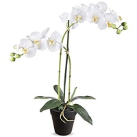 HTT Decorations - künstliche Orchidee - Orchidee - in weiß - 53-2 Zweige - im Topf - Deko - Zimmerpflanze