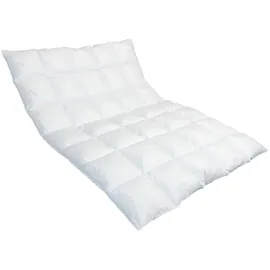 Traumina Breeze Daune Einziehdecke WK1