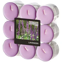 Gala Flavour 2 cm lavender 18 St.