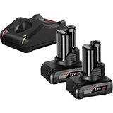 Bosch Akku-Starter-Set GBA 12 Volt 2 Stück