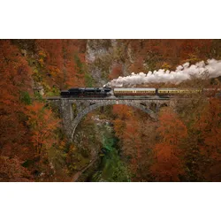 Fototapete PAPERMOON "Photo-Art ALES KRIVEC, MUSEUMSZUG", bunt, B:3,50m L:2,60m, Vlies, Tapeten