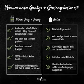 Exvital Ginkgo + Ginseng Tabletten 365 St.