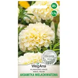 wegana Ringelblume Tagetes Kilimanjaro Weiße Samen 0,5 g Tagetes-Samen - WegAna