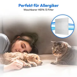 Medion LIFE P2000 Beutelloser Zyklon-Staubsauger