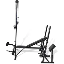 vidaXL Hantelbank Fitnessgerät schwarz