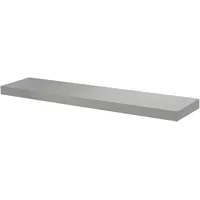 DOLLE Regalboden Big Boy 115 x 25 cm Silber