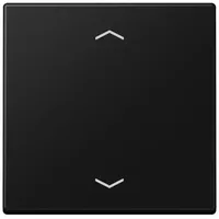 Jung Wippe mit Pfeilsymbolen A 101 P BF SWM