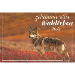 Geheimnisvolles Waldleben - Kalender 2026