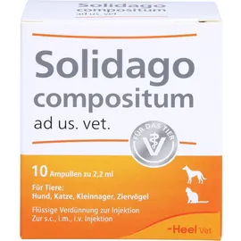 Heel Solidago Comositum ad us.vet. Ampullen 10 x 2,2 ml
