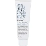 Briogeo Scalp RevivalTM Charcoal - Tea Tree Cooling Hydration Scal