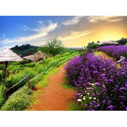 Fototapete PAPERMOON "BUNTE BLUMEN-THAILAND PFLANZE DEKOR NATUR BLÜTE MUSTER", bunt, B:3,50m L:2,60m, Vlies, Tapeten