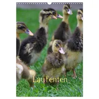 Calvendo Laufenten (Wandkalender 2026 DIN A3 hoch), CALVENDO Monatskalender
