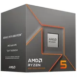 AMD Ryzen 5 8400F, 6C/12T, 4.20-4.70GHz, boxed ohne Kühler (100-100001591BOX)