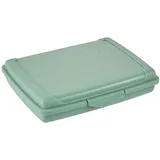 KEEEPER Aufbewahrungsbox Luca Mini 17 x 13 x 3,5 cm 1-tlg. grün