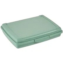 KEEEPER Aufbewahrungsbox Luca Mini 17 x 13 x 3,5 cm 1-tlg. grün