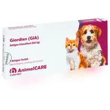 Giardien GIA Antigen-Schnelltest Schnell-Test Test