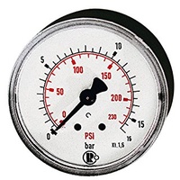 Riegler Standardmano, Kunststoff, G 1/8 hinten, 0 - 4,0