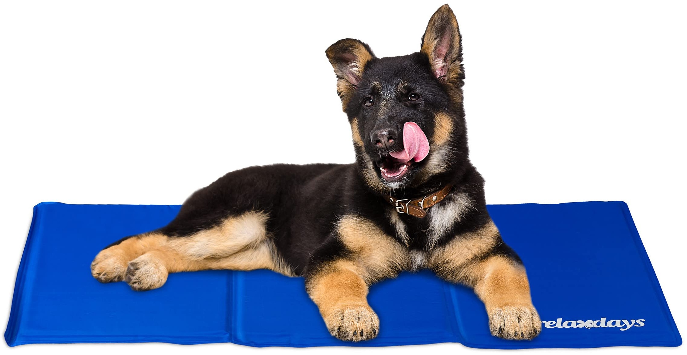 Relaxdays Kühlmatte Hund, selbstkühlend, abwischbar, robust, mit Gel, Kühldecke für Tiere, Kältedecke 50 x 90 cm, blau