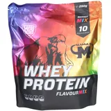 Mammut Whey Protein Mix Pulver 10 x 25 g