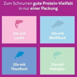 Whiskas Fisch Auswahl in Gelee 40 x 85 g