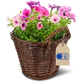 Creative Home Pflanzkasten Weidenblumentopf dunkel mit Folie | Blumenkasten ähnlich wie Rattan | Balkon Blumentopf 30 x 30 x 30 cm (+/- 2cm) | Blumentopf Blumenübertopf | Weidenkorb für Topfblumen