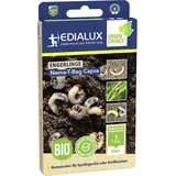 Edialux Nematoden T-Bag Capsa gegen Engerlinge 50 m2