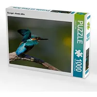 Calvendo Eisvogel - Alcedo atthis 1000 Teile Puzzle quer