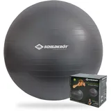 Donic Schildkröt Gymnastikball Anthrazit 75 cm