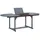 vidaXL Gartentisch 200 x 100 x 75 cm Grau